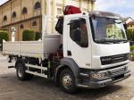DAF LF55 4x2 FA Day Cab Crane 2006 года